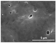 Polymers 13 04062 i021