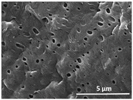 Polymers 13 04062 i022