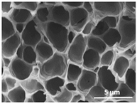 Polymers 13 04062 i024