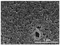 Polymers 13 04062 i025