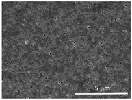 Polymers 13 04062 i026