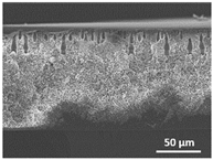Polymers 13 04062 i027