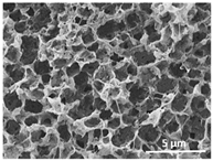 Polymers 13 04062 i028