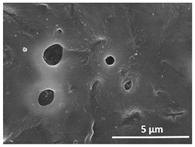 Polymers 13 04062 i029