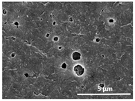 Polymers 13 04062 i030