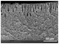 Polymers 13 04062 i031