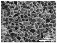 Polymers 13 04062 i032