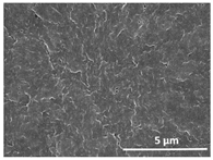 Polymers 13 04062 i033