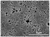 Polymers 13 04062 i034