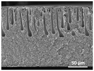 Polymers 13 04062 i035