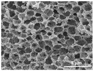 Polymers 13 04062 i036