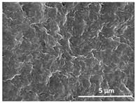 Polymers 13 04062 i037
