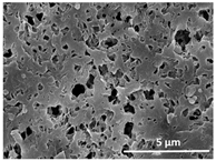 Polymers 13 04062 i038