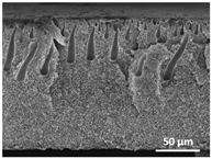 Polymers 13 04062 i039