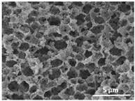 Polymers 13 04062 i040