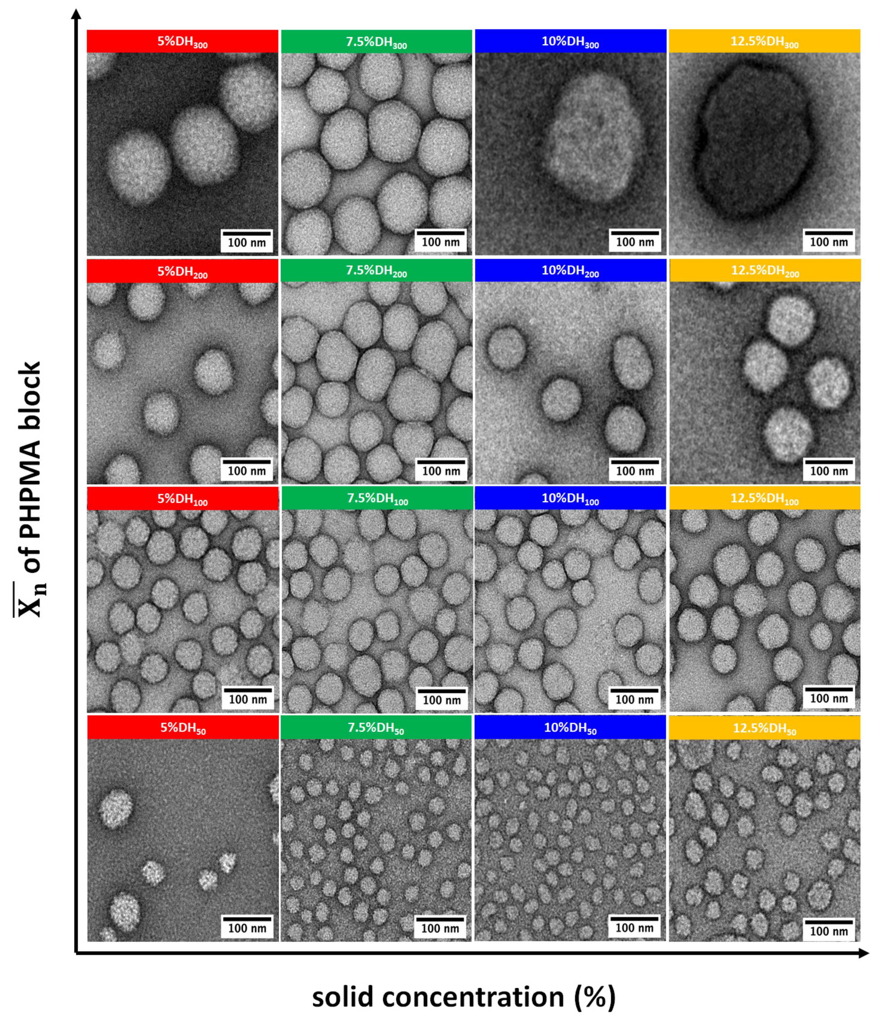 Polymers 13 04064 g004 550