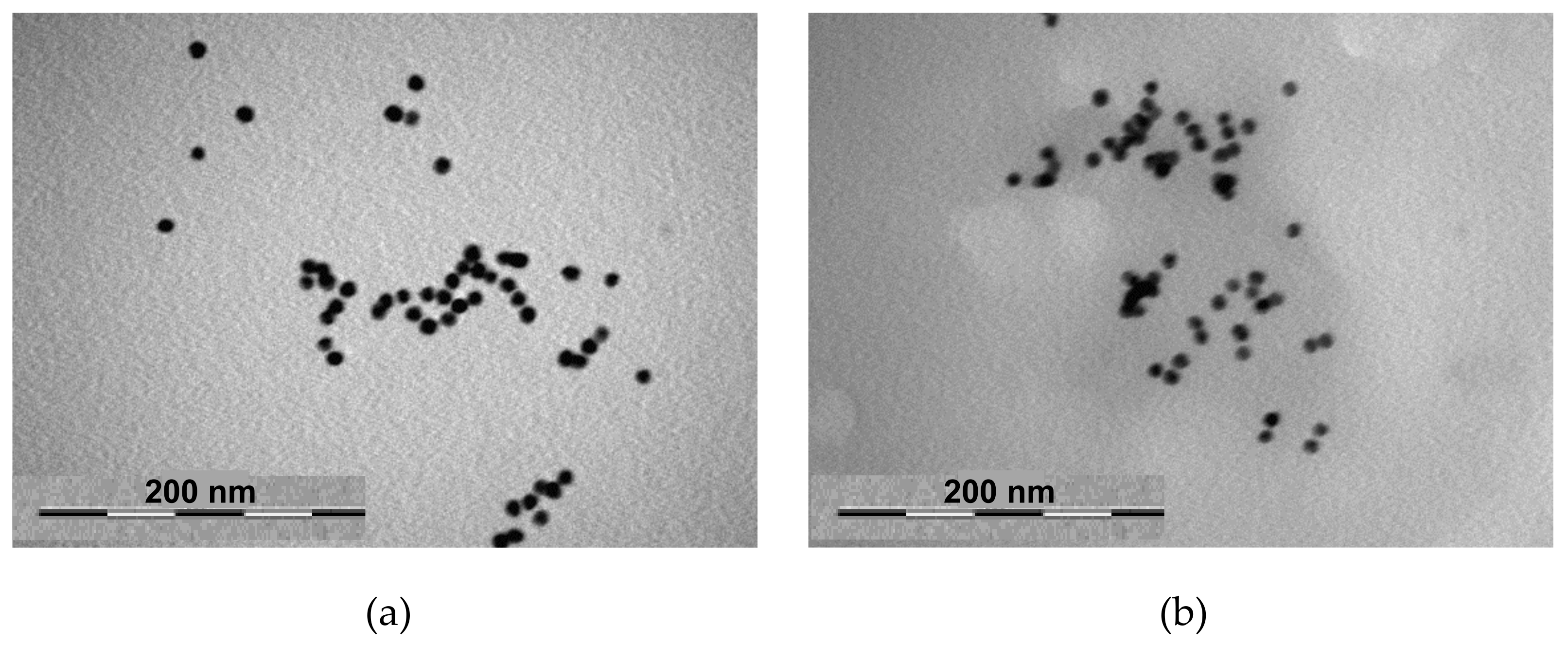 Polymers 13 04066 g007 550