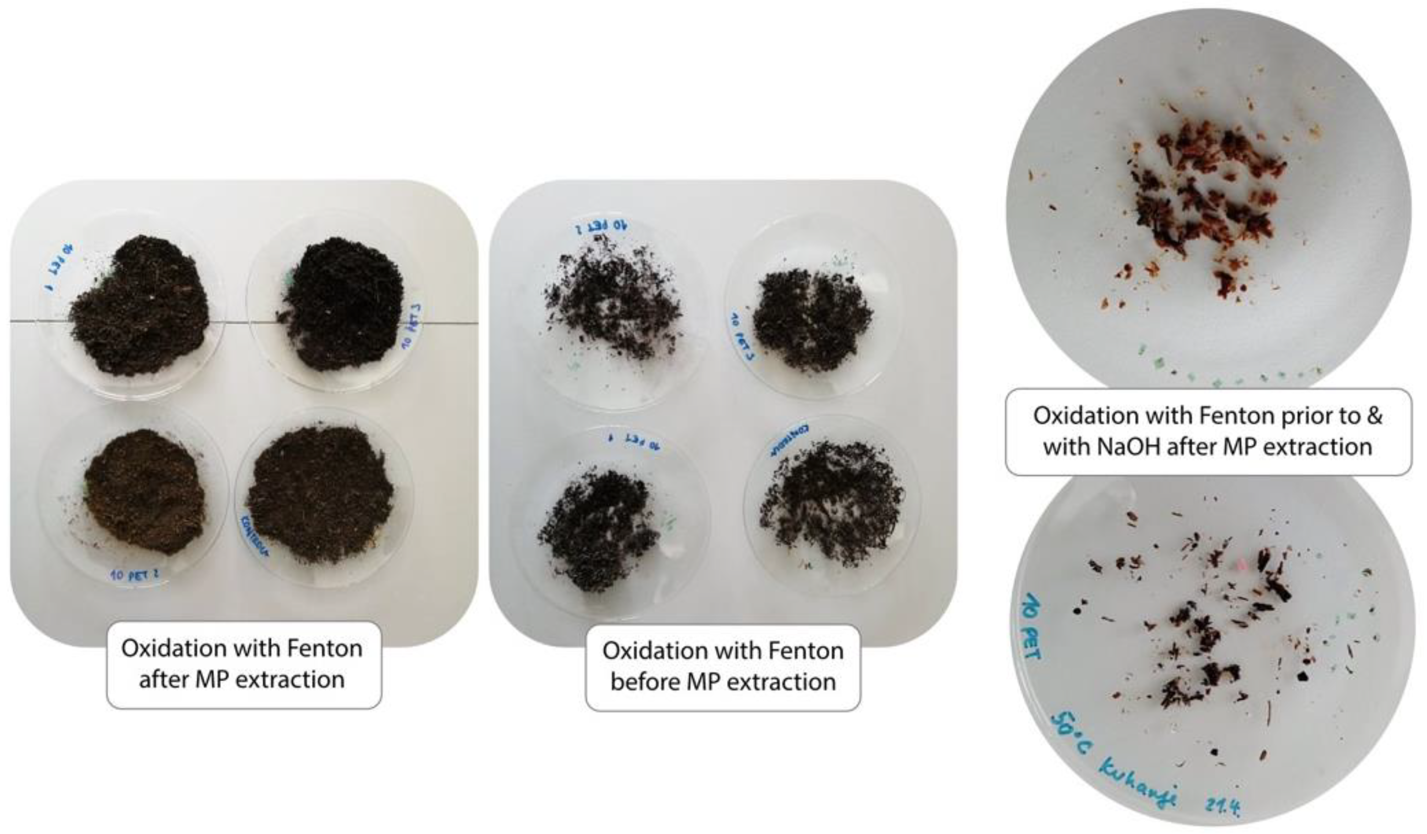 Polymers 13 04069 g004
