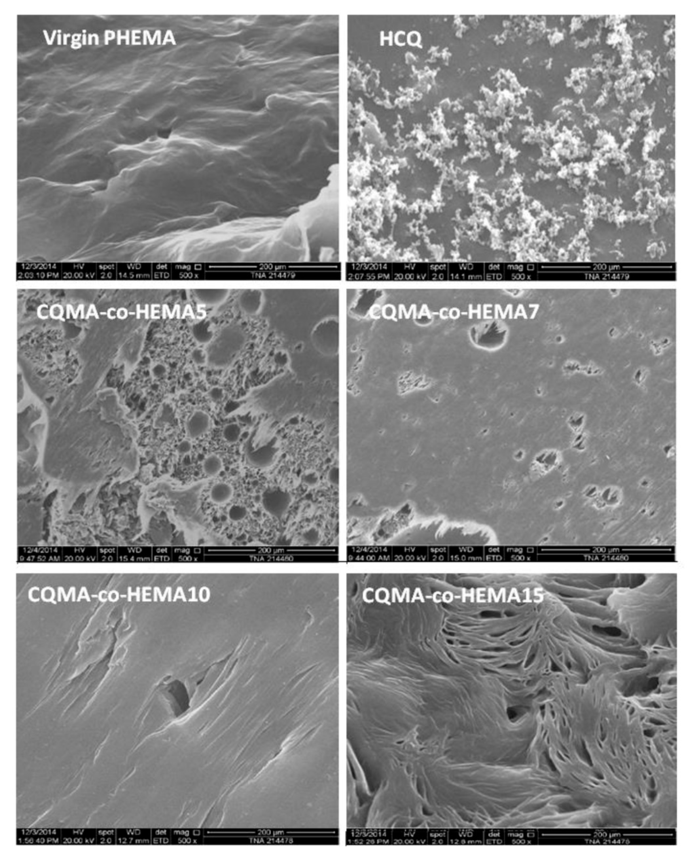 Polymers 13 04072 g010