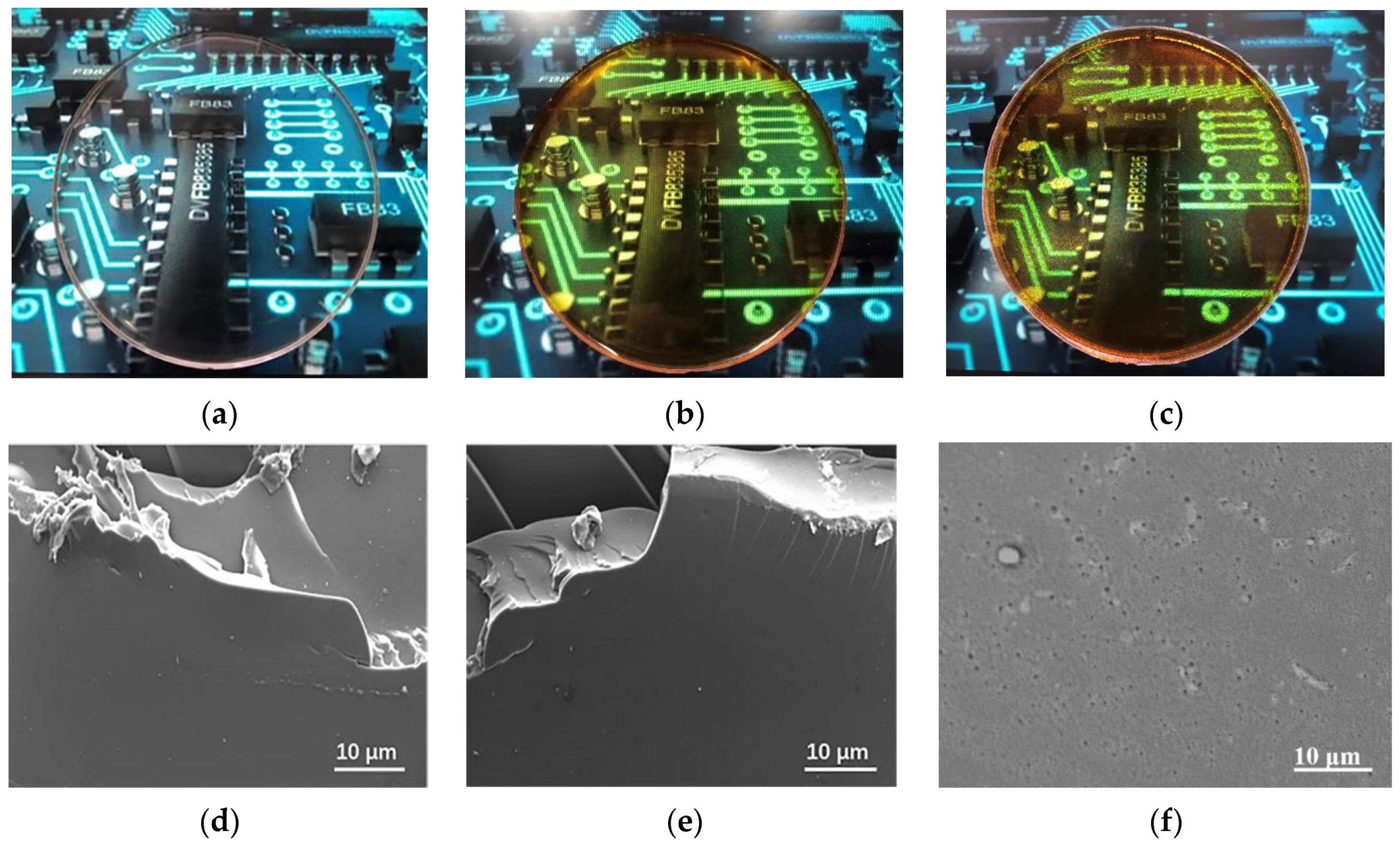Polymers 13 04074 g002