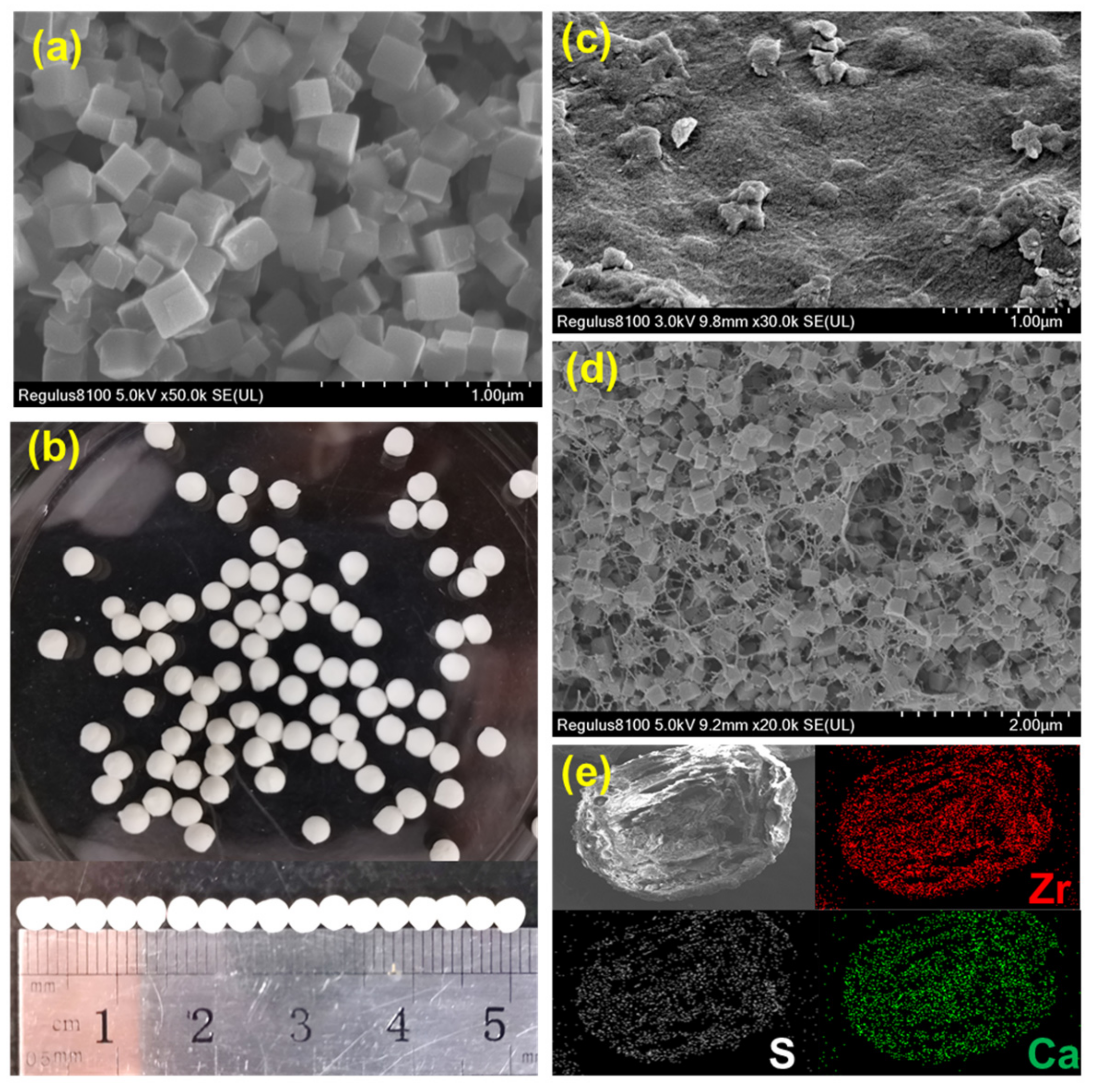 Polymers 13 04075 g001
