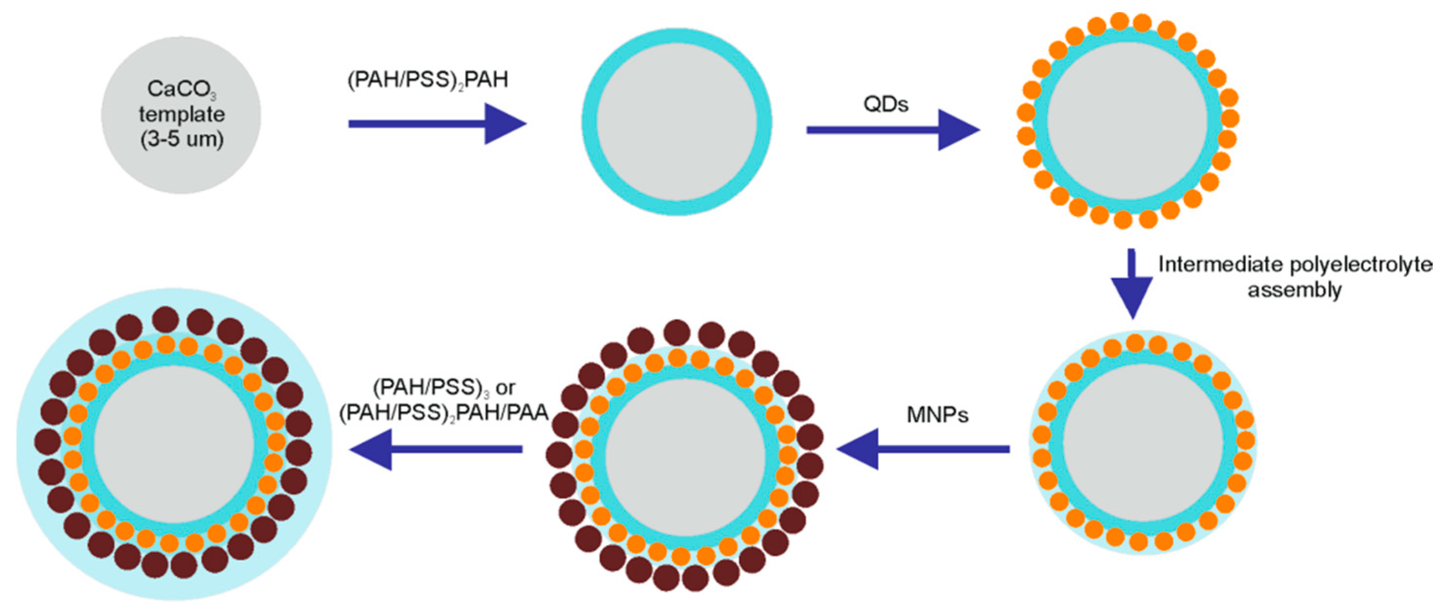 Polymers 13 04076 g001 550