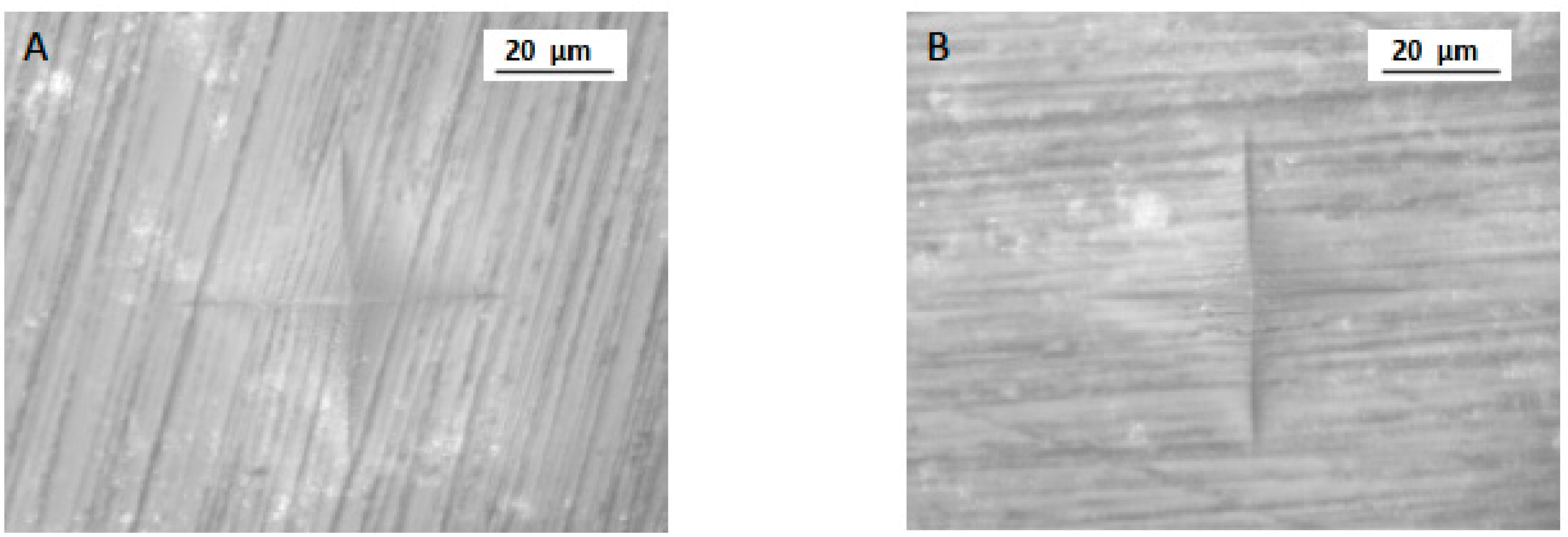 Polymers 13 04077 g004 550