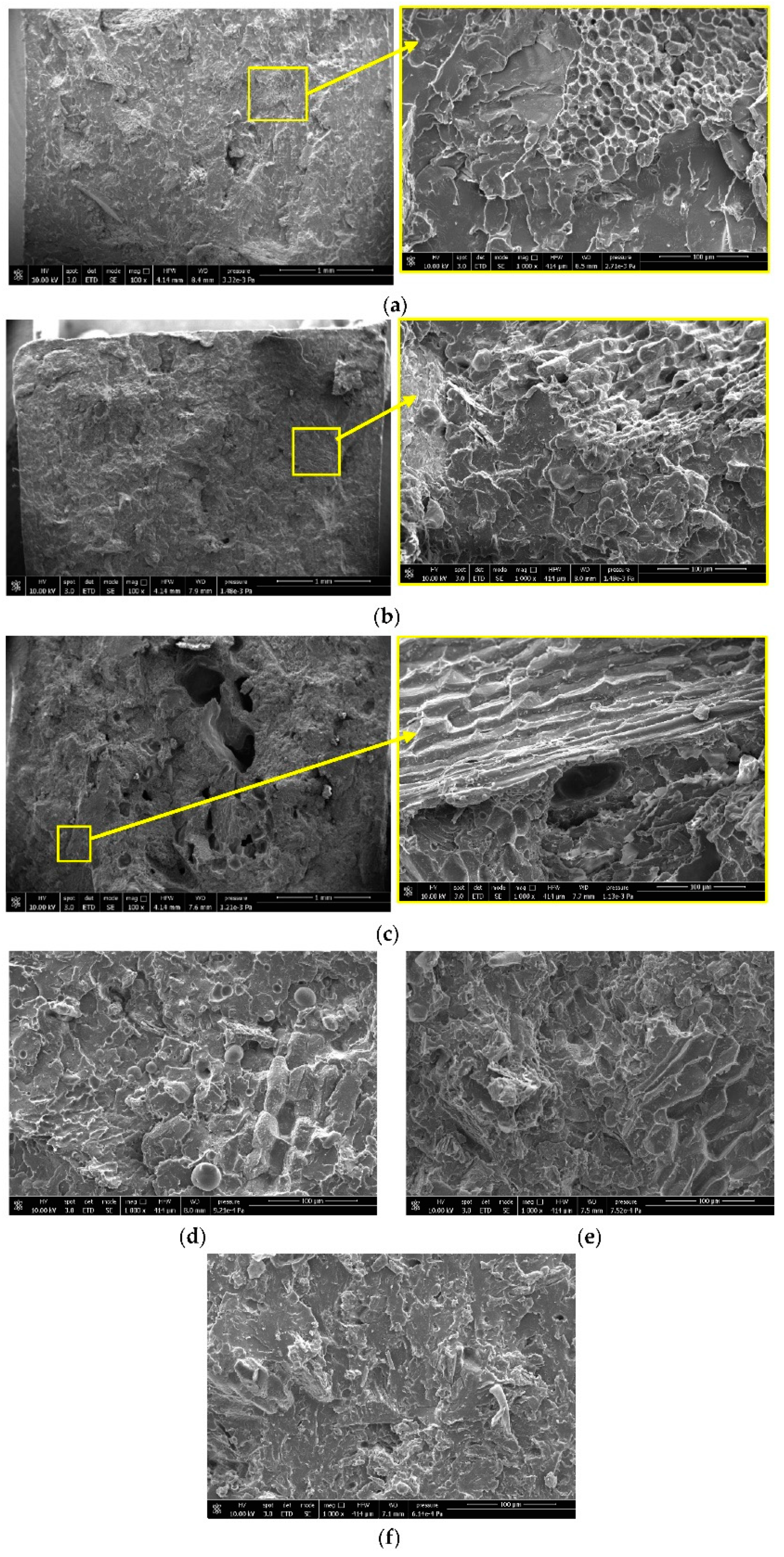Polymers 13 04080 g008