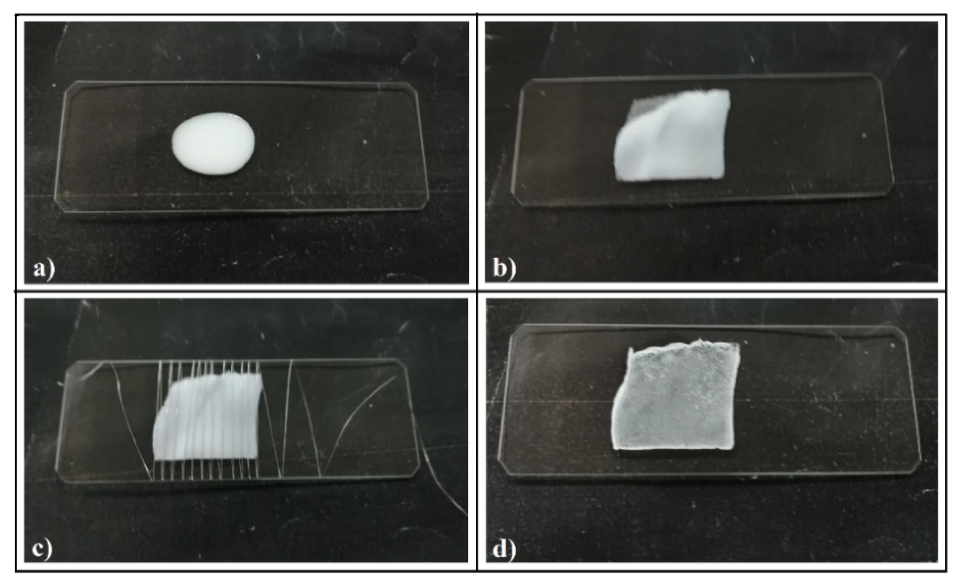 Polymers 13 04081 g001 Polymers 13 04081 g001