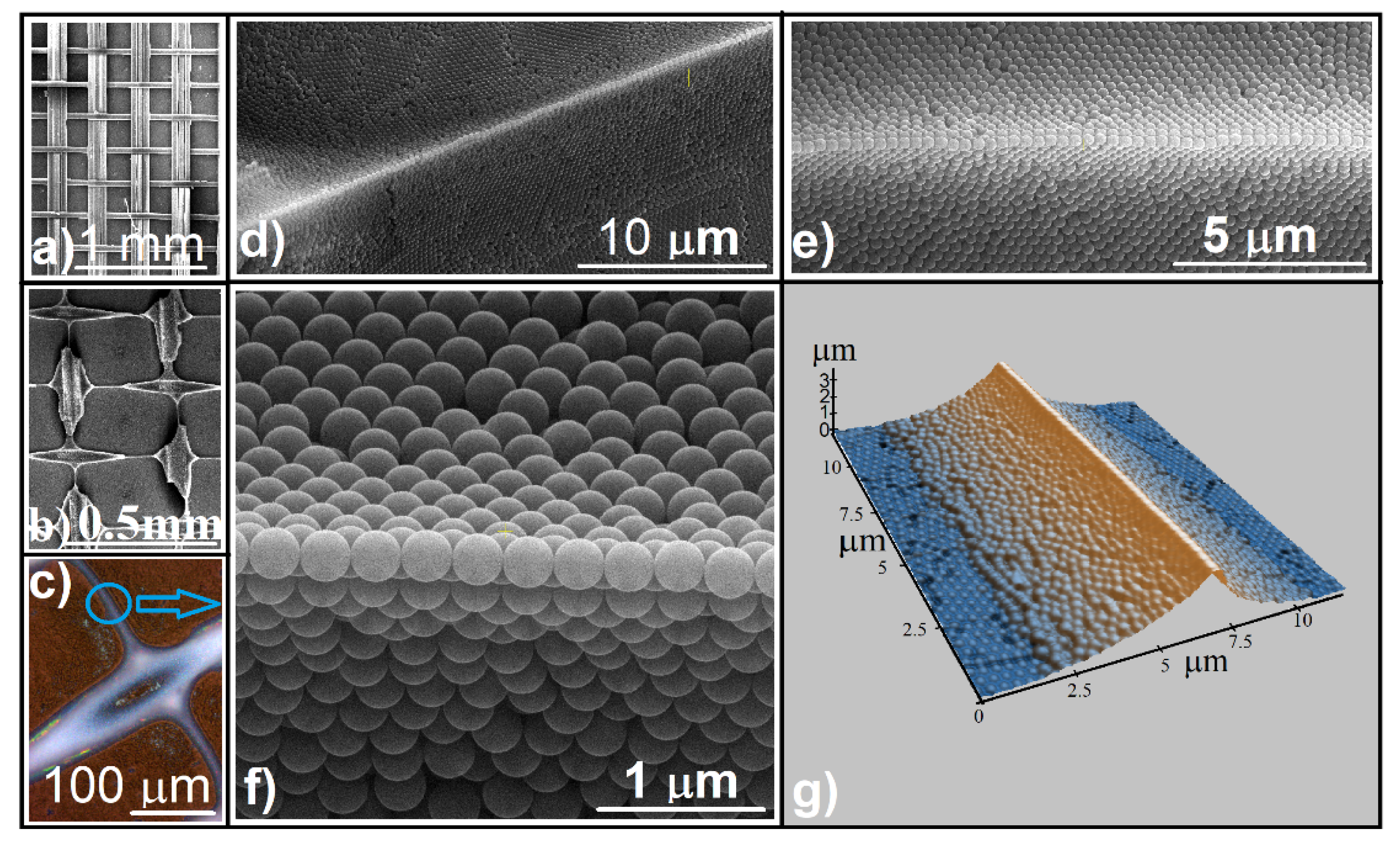 Polymers 13 04081 g002 Polymers 13 04081 g002