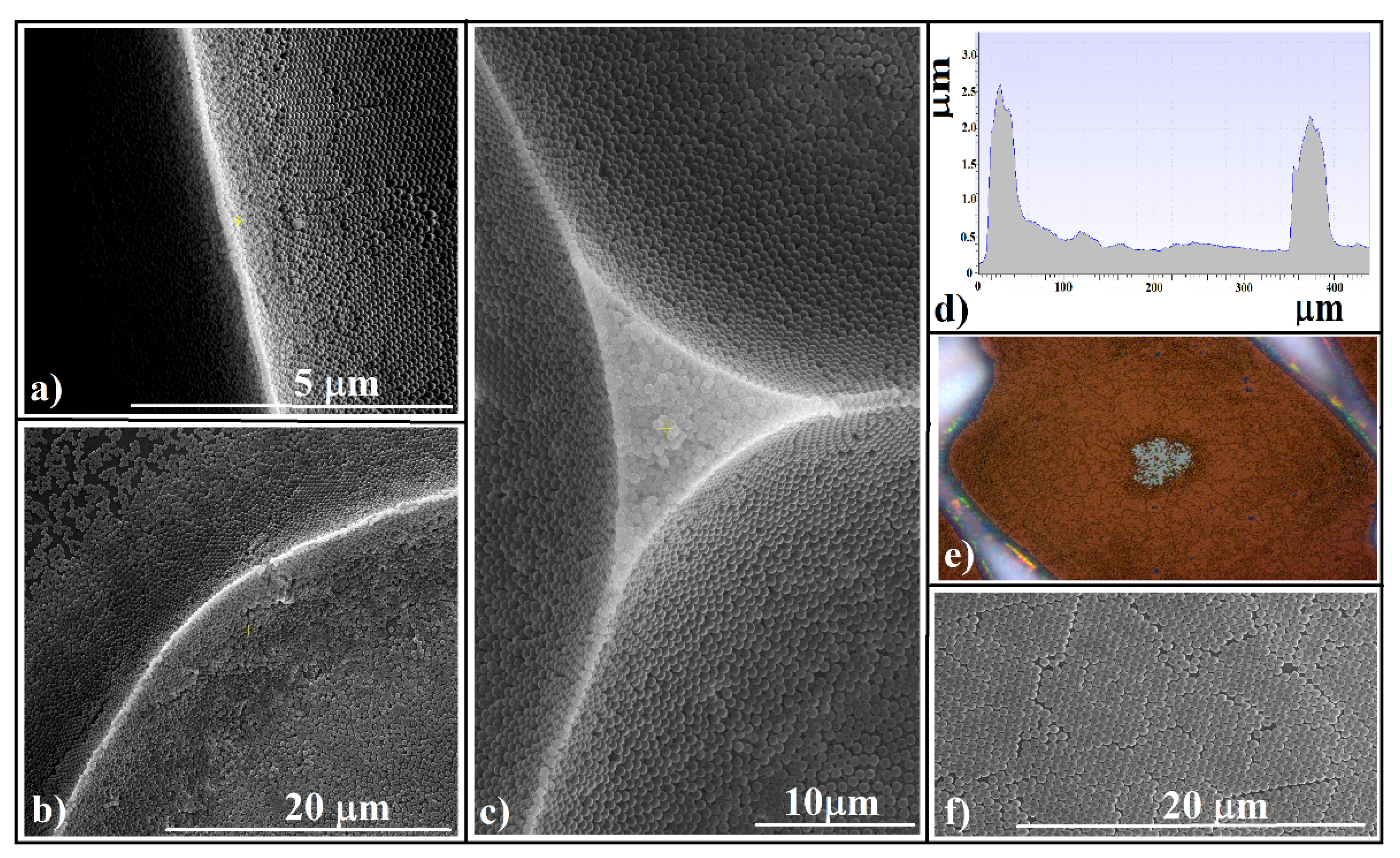 Polymers 13 04081 g003 Polymers 13 04081 g003