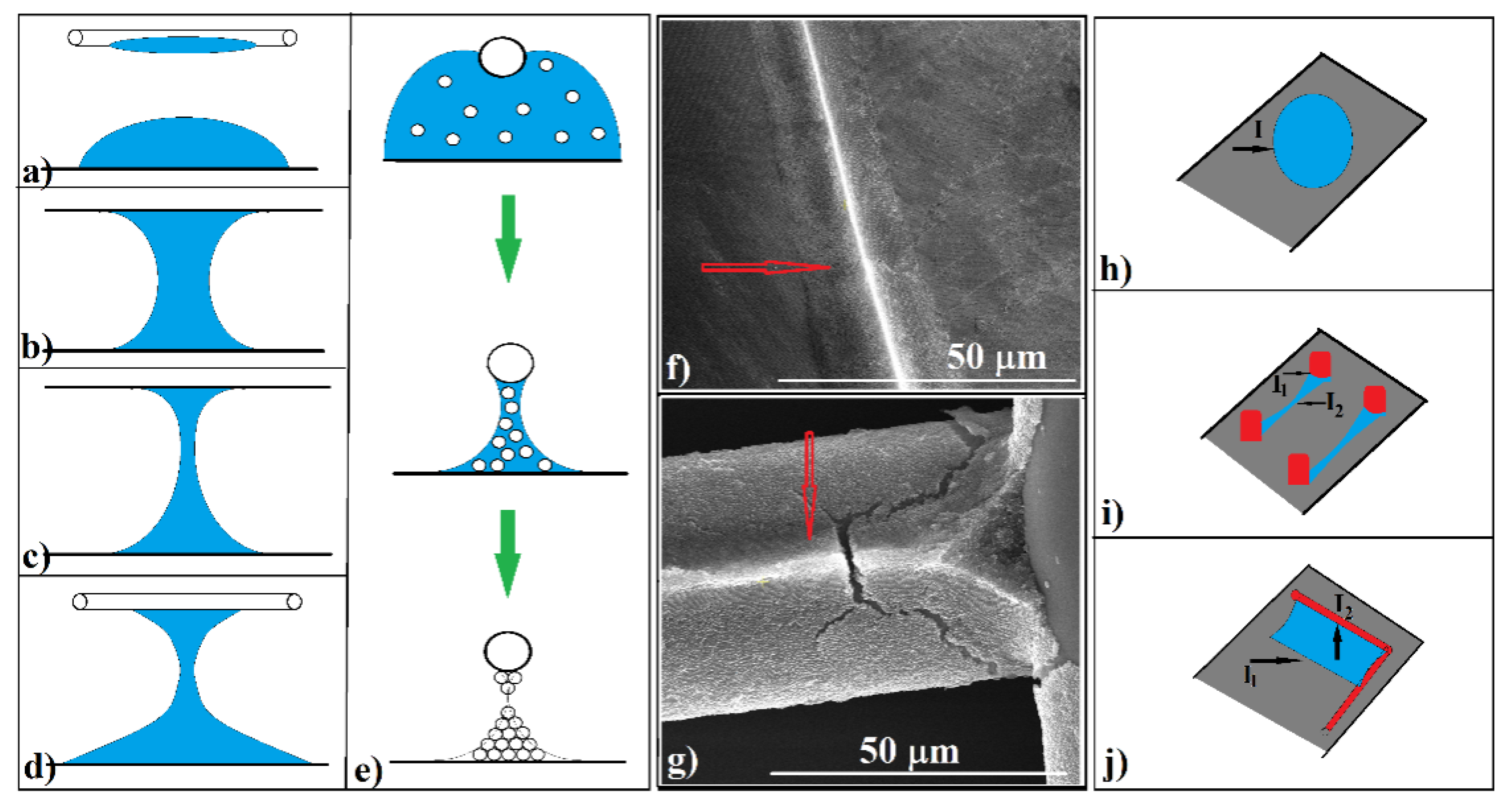 Polymers 13 04081 g006 Polymers 13 04081 g006