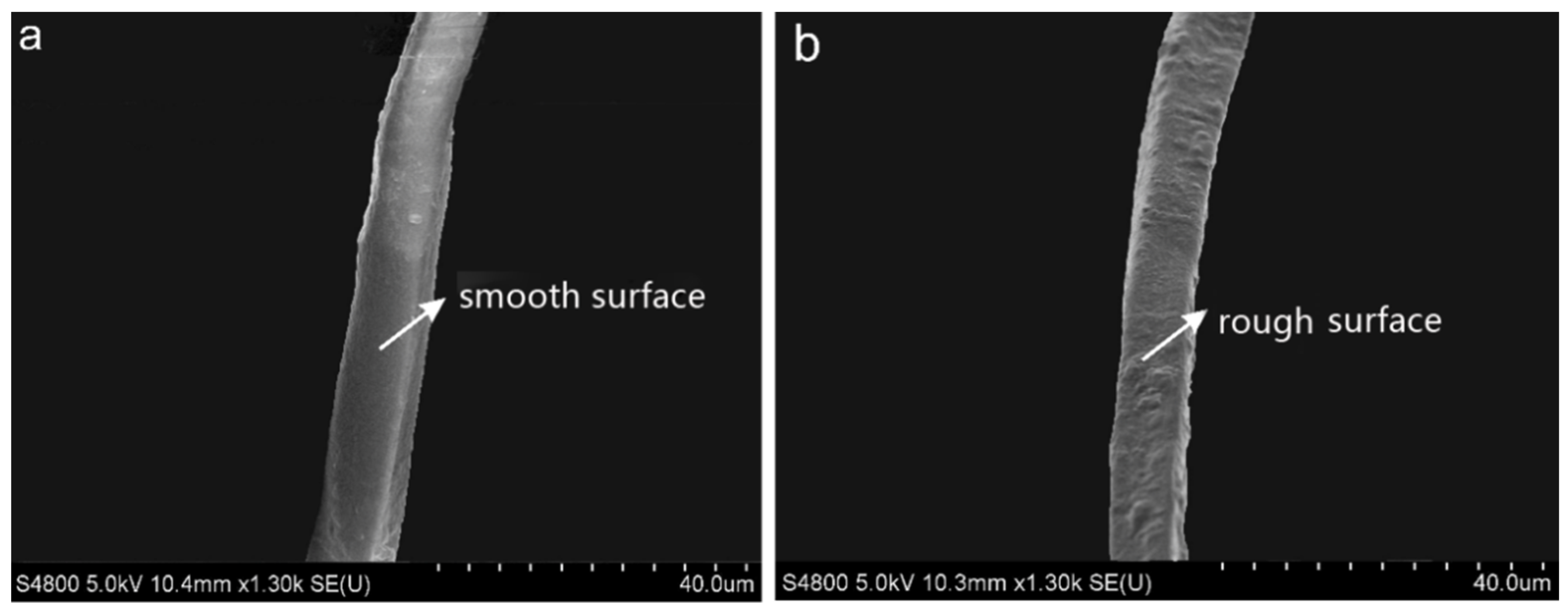 Polymers 13 04083 g001