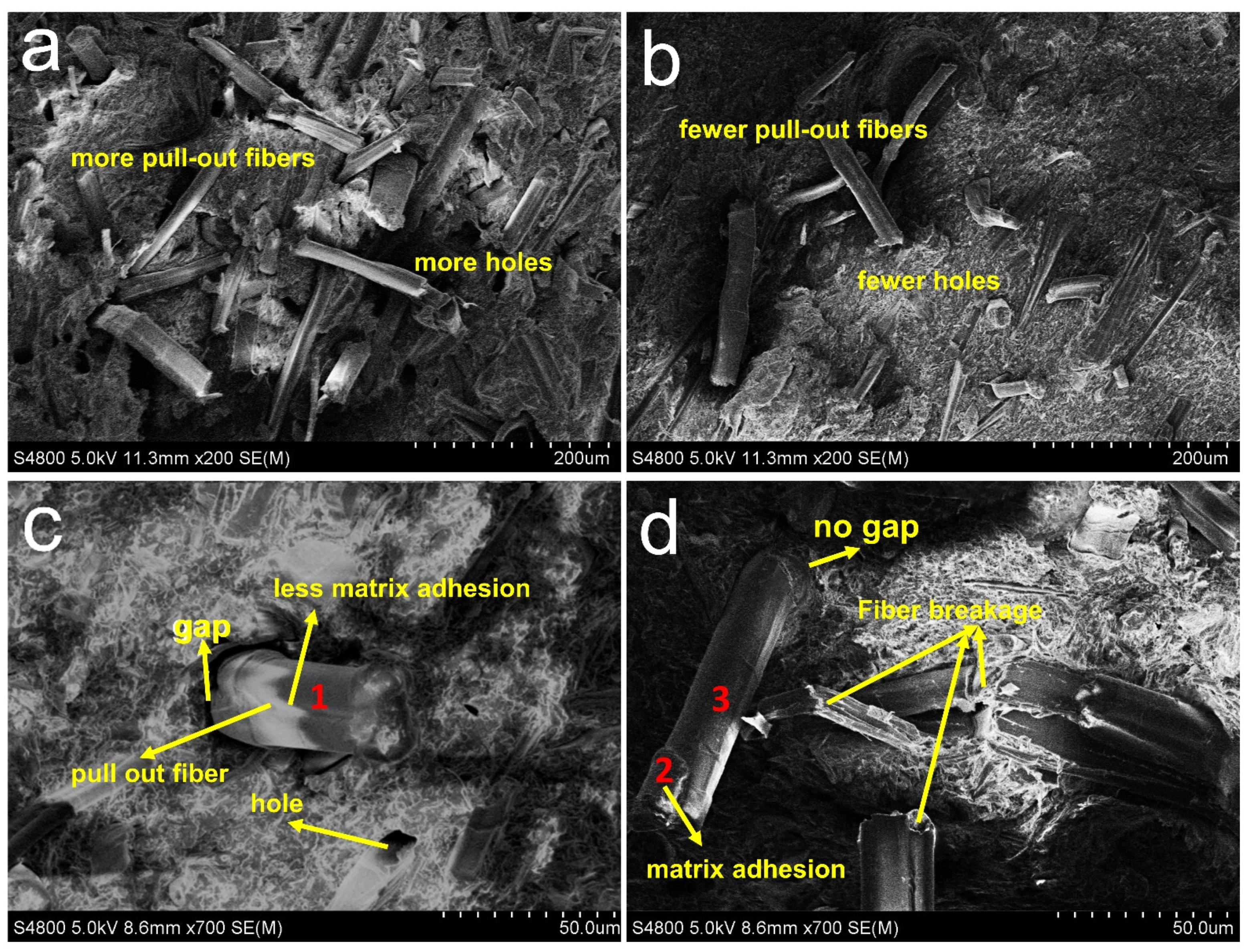 Polymers 13 04083 g003