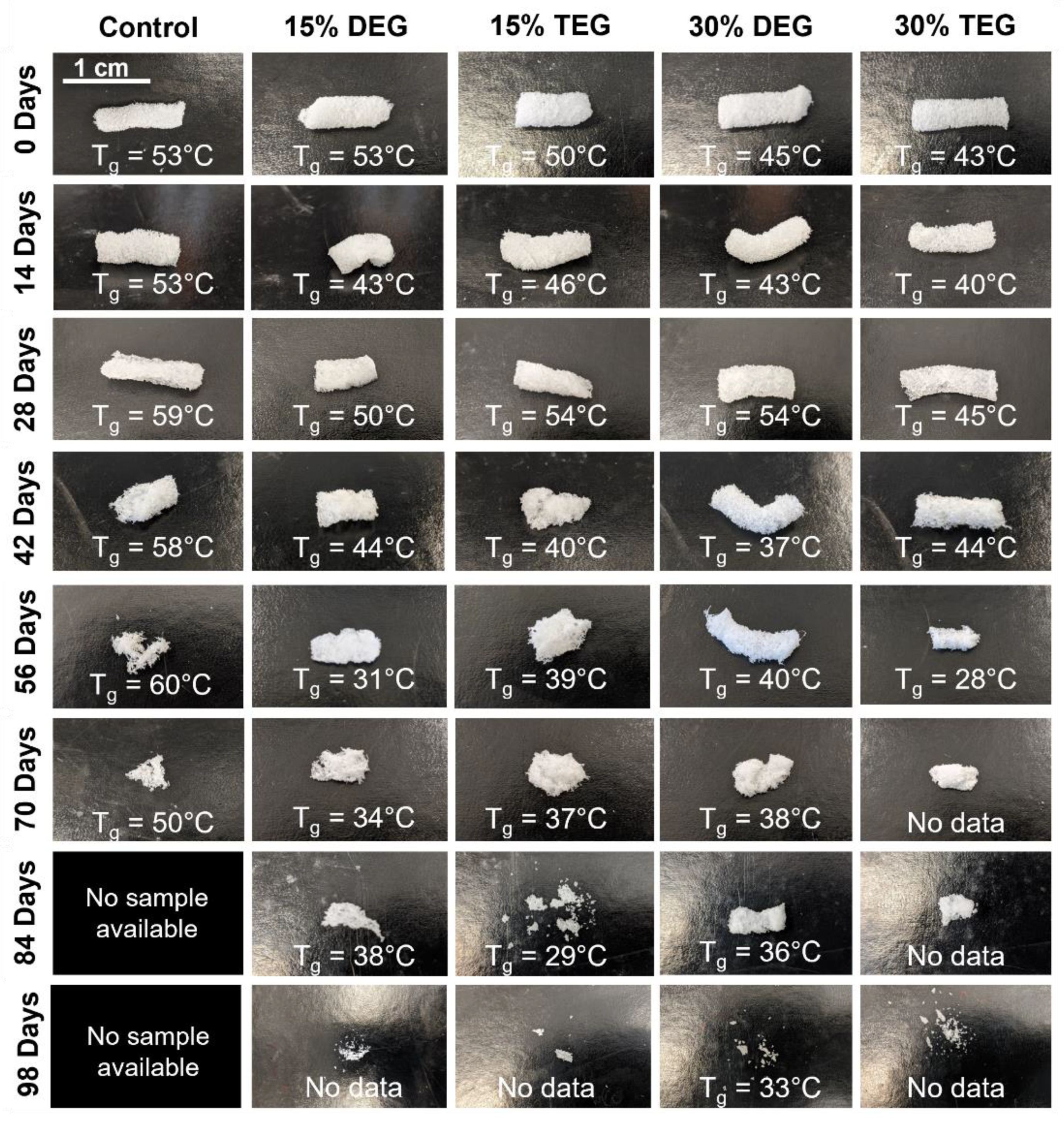 Polymers 13 04084 g004 550
