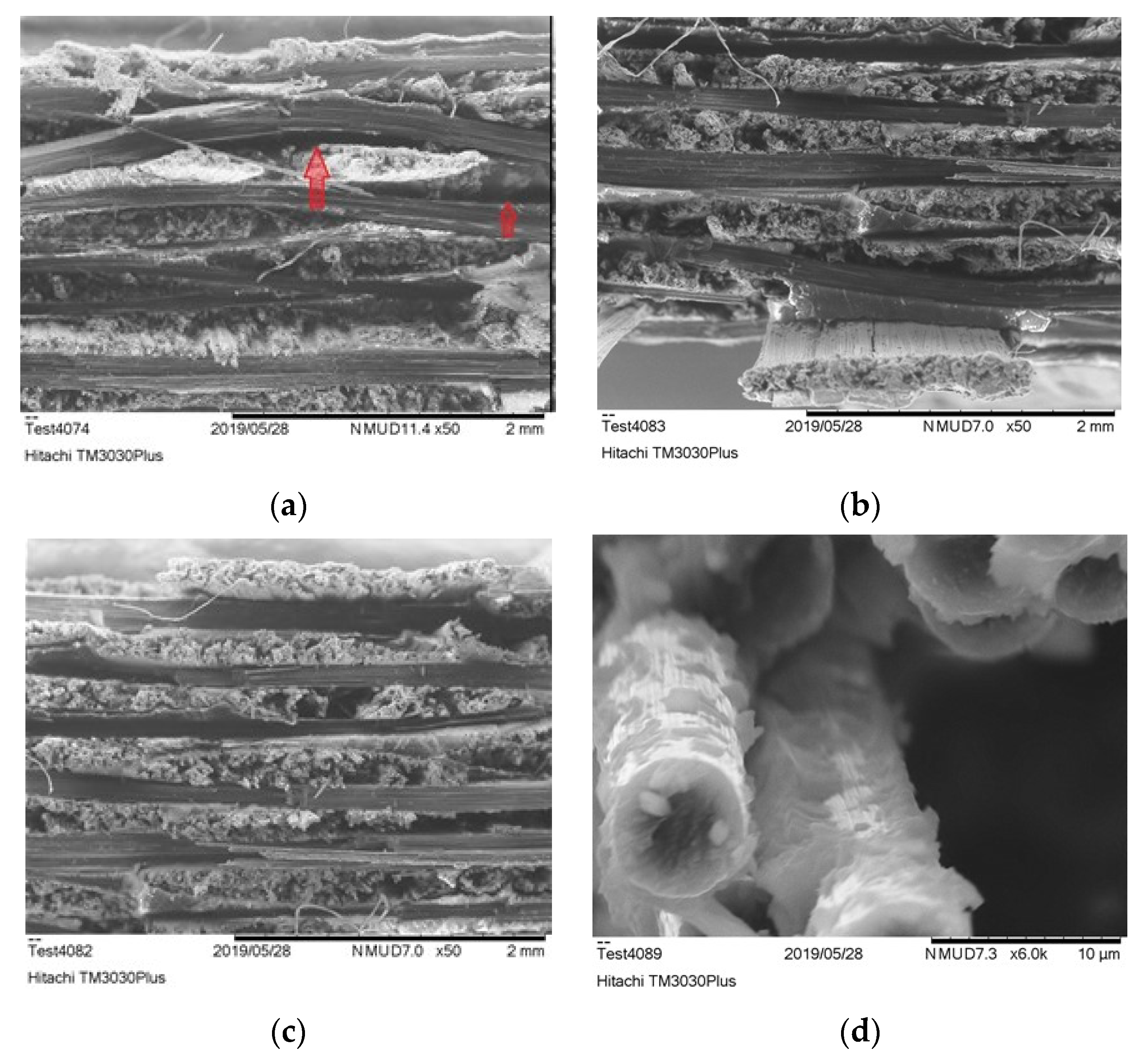 Polymers 13 04092 g008