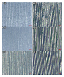 Polymers 13 04092 i001