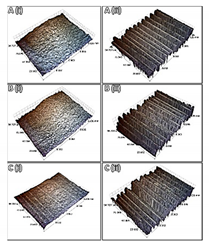 Polymers 13 04092 i003