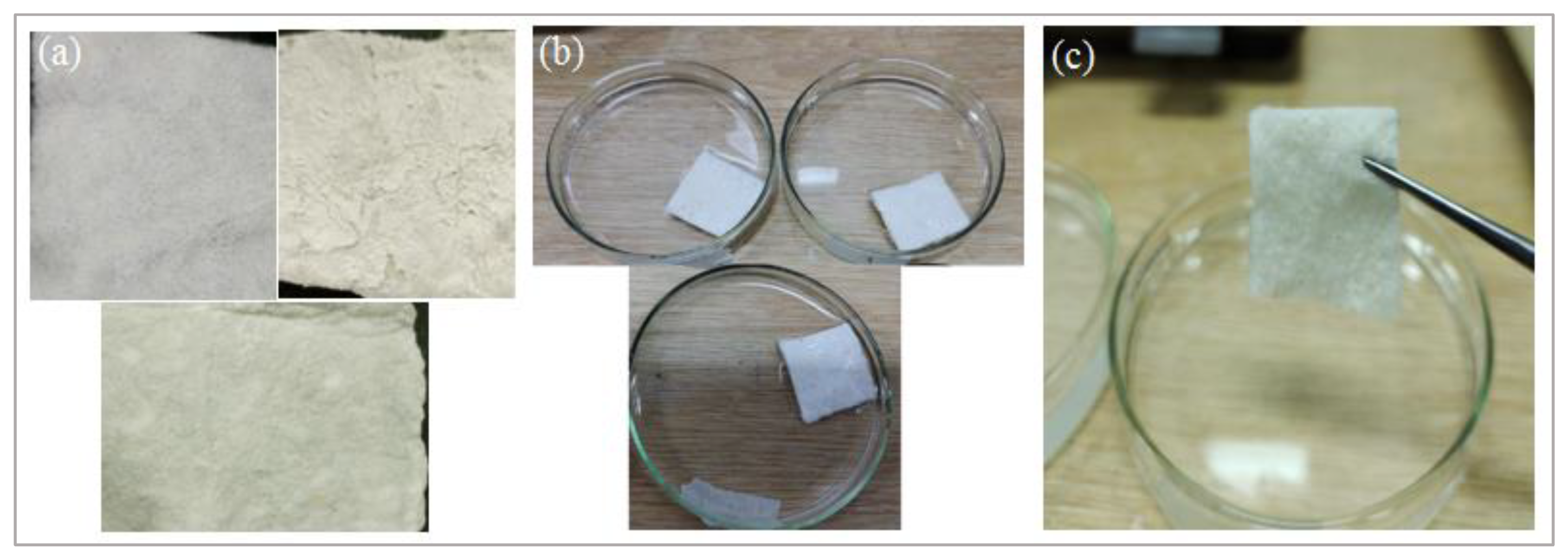 Polymers 13 04098 g002 550