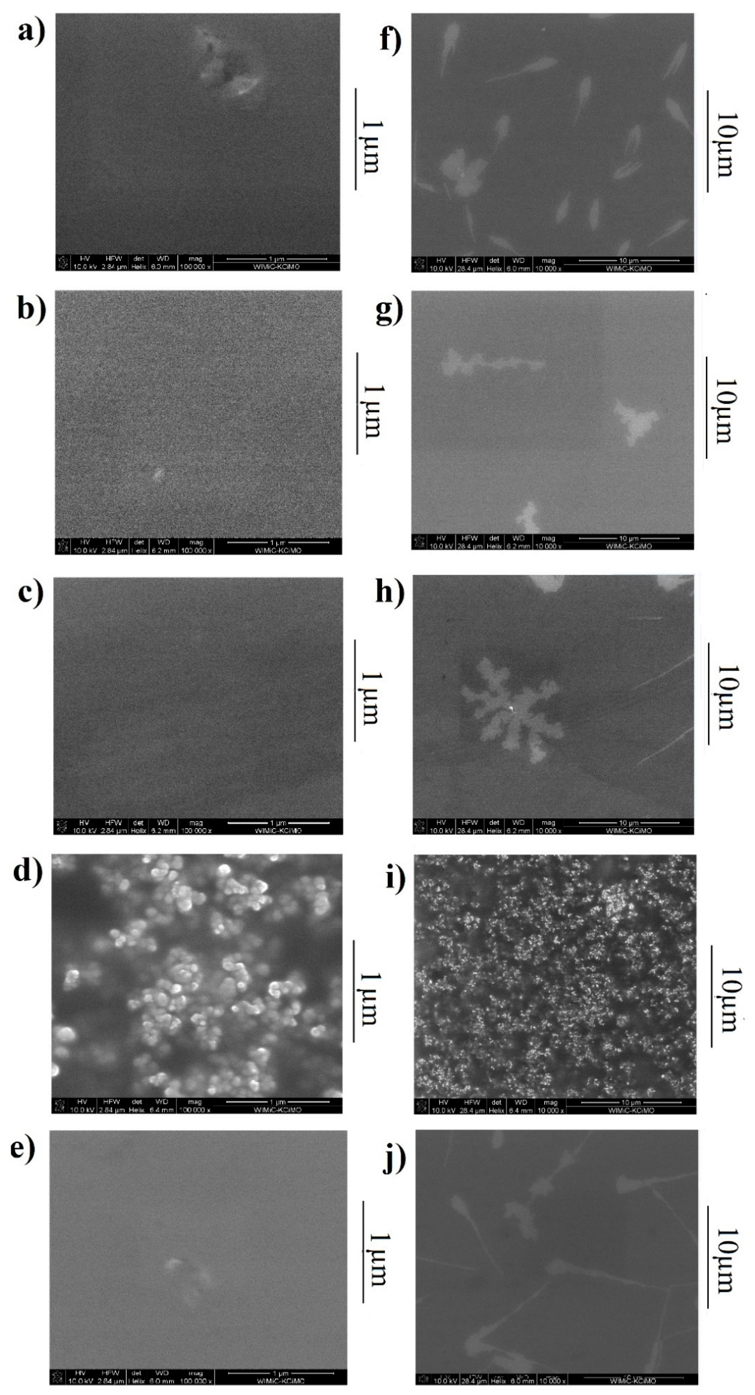 Polymers 13 04099 g007 550