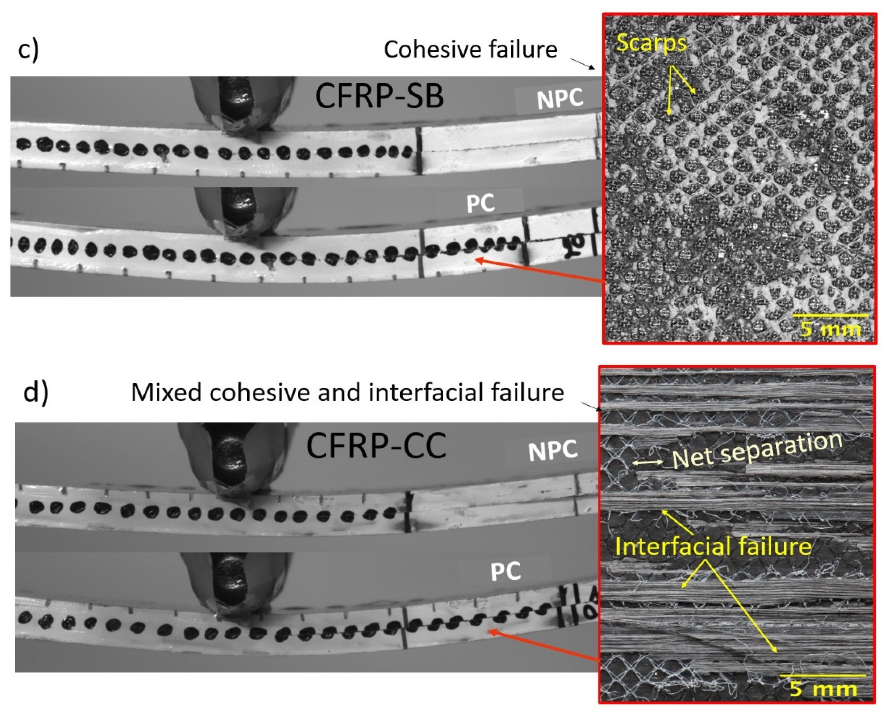 Polymers 13 04103 g007b 550