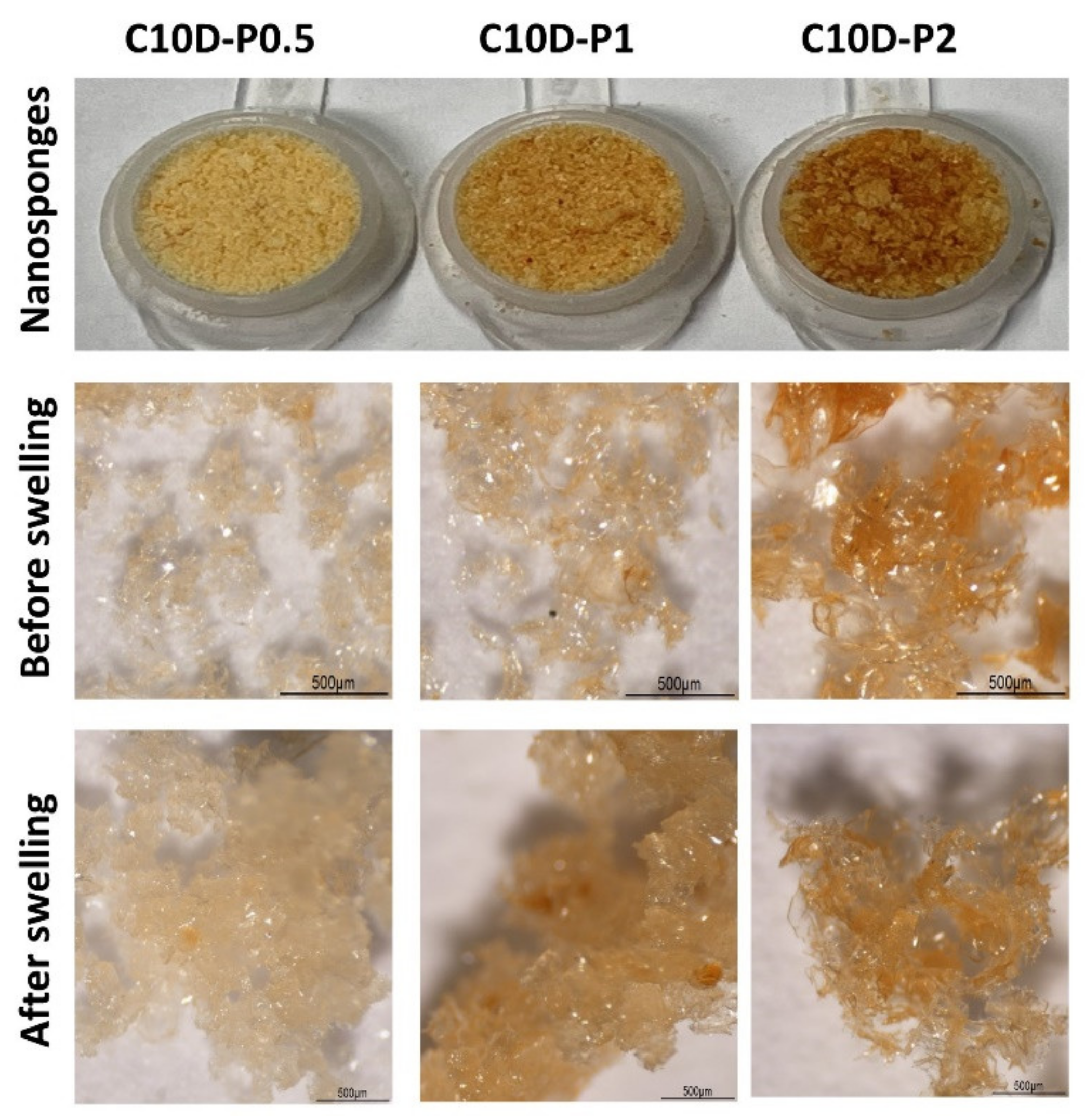 Polymers 13 04110 g002