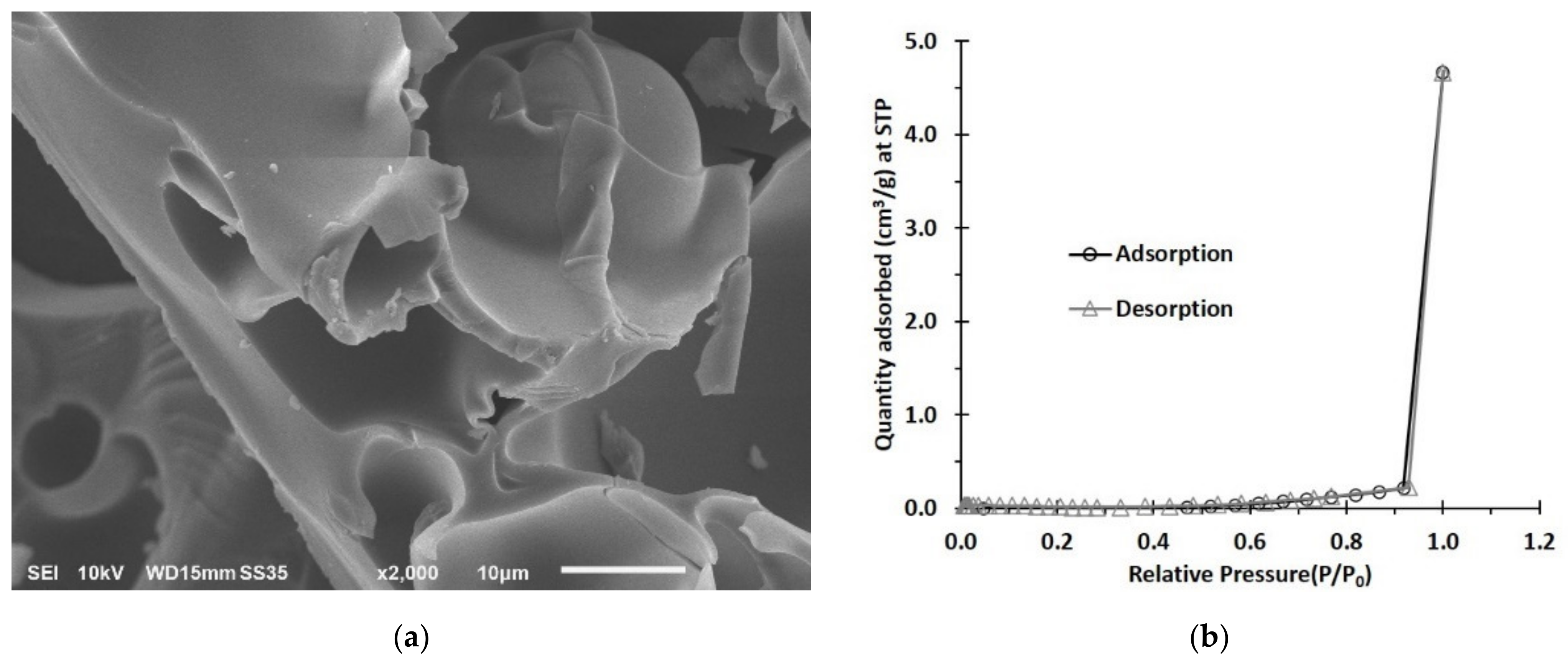 Polymers 13 04110 g003