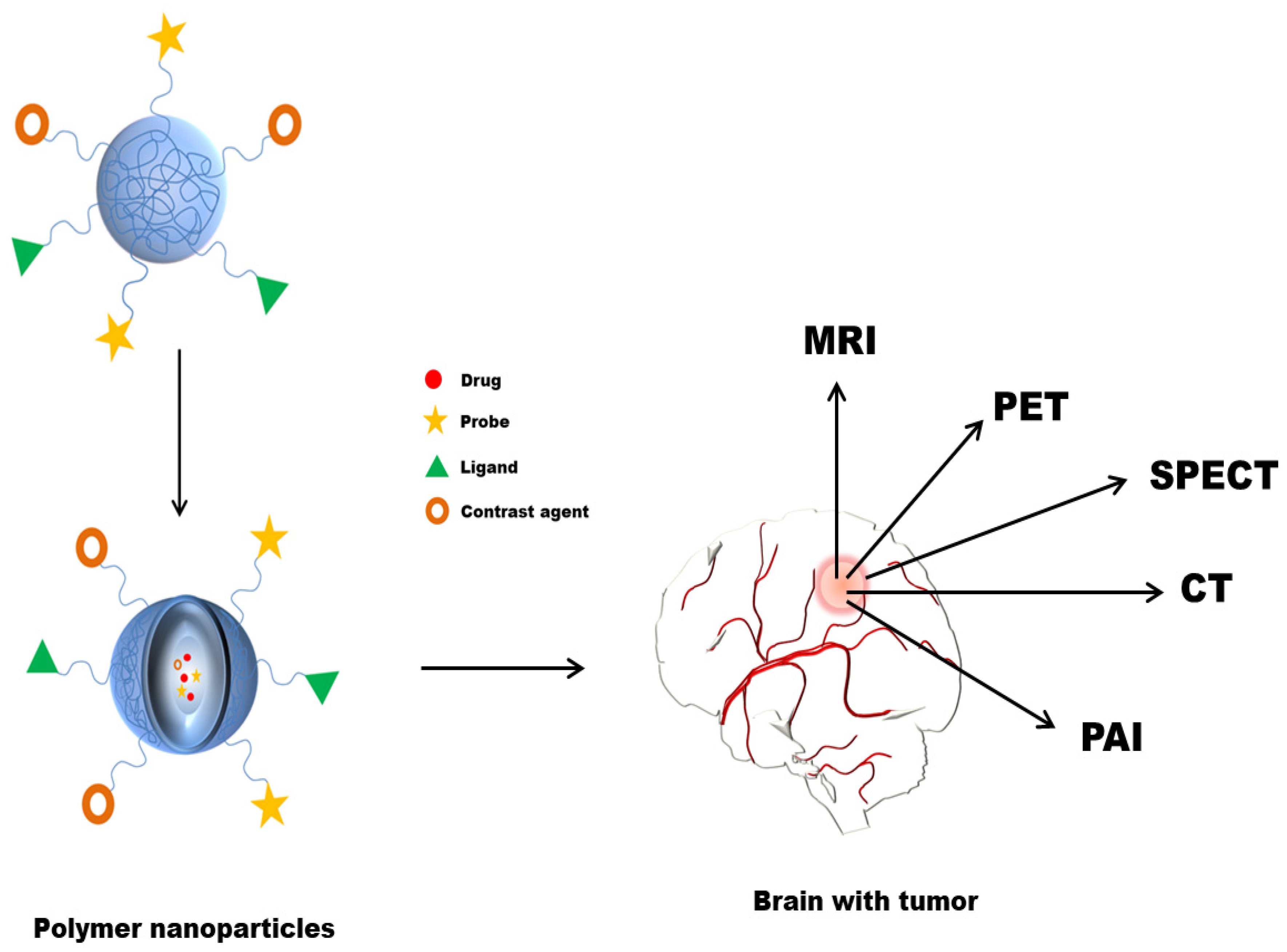 Polymers 13 04114 g003
