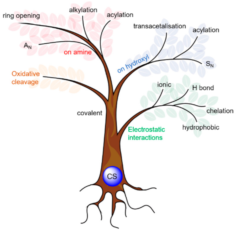 Polymers 13 04118 g002 550