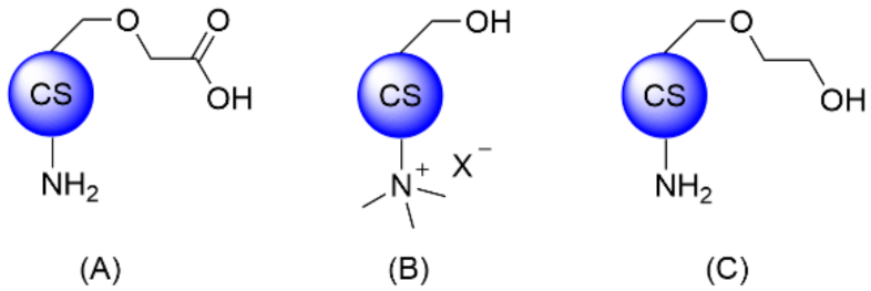 Polymers 13 04118 g003 550