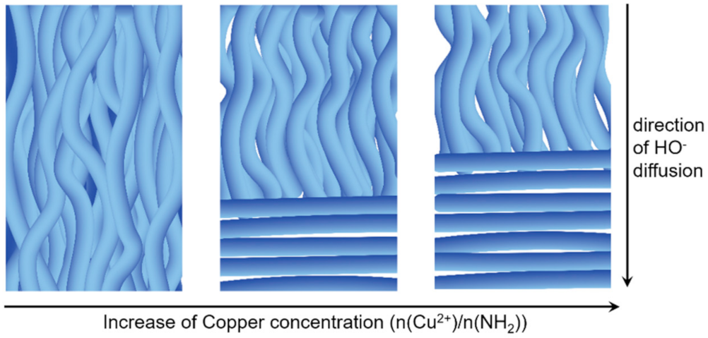 Polymers 13 04118 g008 550