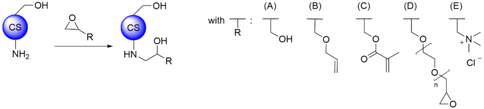 Polymers 13 04118 sch004 550
