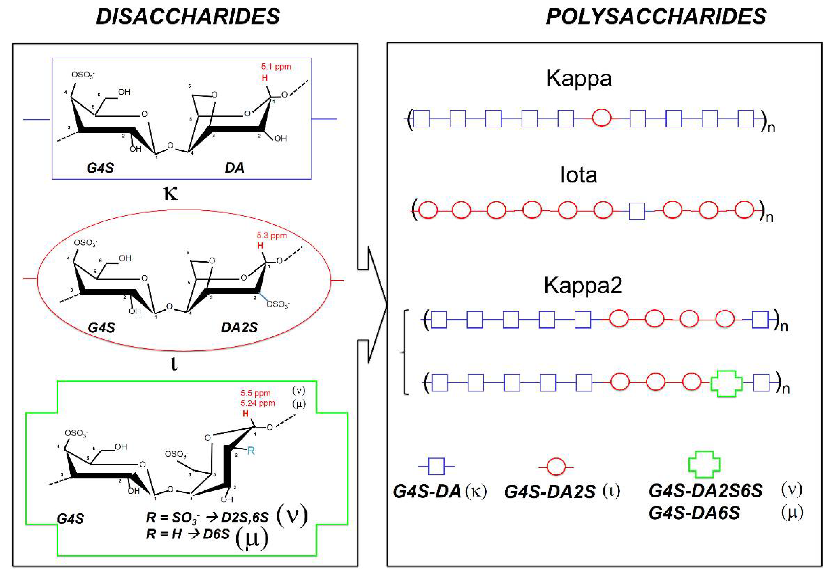 Polymers | Full-Text | Structure&ndash;Elastic Properties Relationships in Gelling Carrageenans