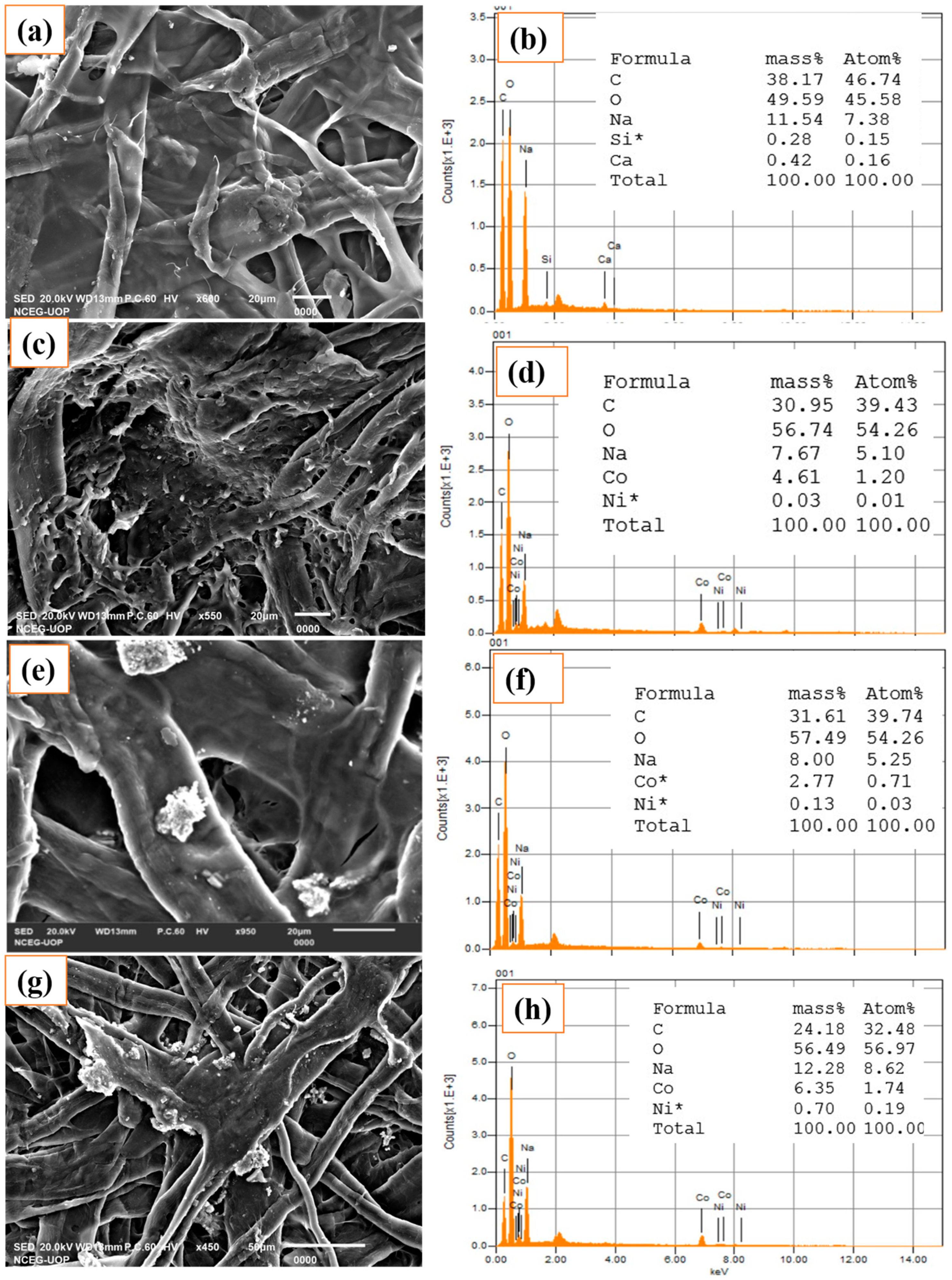 Polymers 13 04122 g001